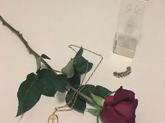 내가 사랑하던 일주일.