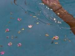 고래가 되어 헤엄치는 바다.