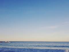 풋풋달달고딩은무 썰