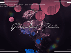 Preserved Flower 세션카드 배포