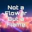 꽃 대신 불꽃을