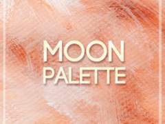 MOON PALETTE 주요 공지