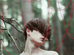 The karma of everything