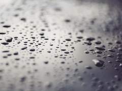 [단편] 네 탓이야.