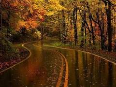 리퀘 이벤트 BL단편