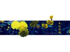 금색심연 金色深淵