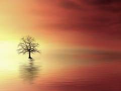 [스팁크라스팁] 이그드라실