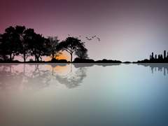 [금선영사]칠영사는 누워있는 걸 좋아한다