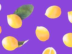 쪼푸 함부로 줍지 마세요