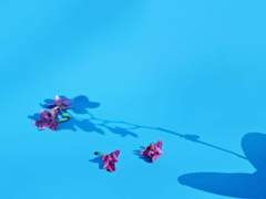 레코드 위, 춤추는 나의 애념에게