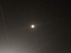 002. 하늘을 올려다봅니다