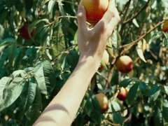 그때, 여름의 우리 (Part. 봄)