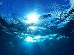 [백도] 너는 어떤 꿈에서, #2