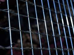 국립 호텔 로맨스 1