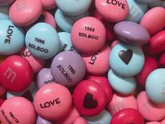 2020 솔부 온리전