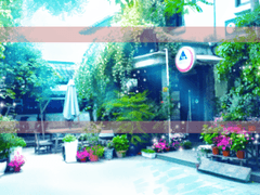 여름 배경 -유료소스