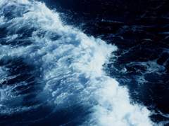 [1차 창작] 돌아가자