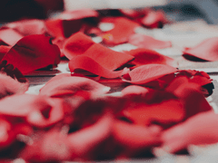 [현제유현] 동요(動搖)