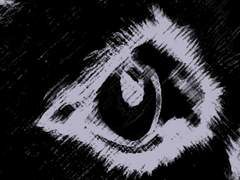 사랑과 사람과 삶 중에서 고르라고 한다면