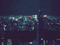 미국에서 입양으로 맺어진 형제썰 23