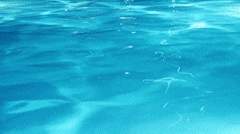 미국에서 입양으로 맺어진 형제썰 2