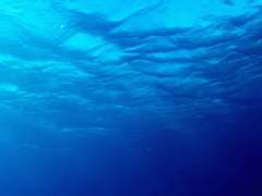 미국에서 입양으로 맺어진 형제썰 10