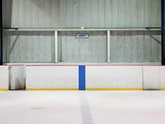 미국에서 입양으로 맺어진 형제썰 13