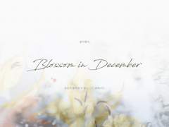 Blossom in December