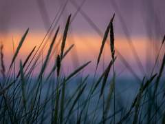 [민우은혜] 여전의 뒤바뀜