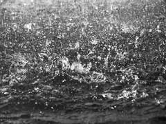 [백망되 필수 문장 합작] 비와 볕의 경계