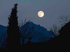 [스팁크라스팁] 한 번의 결혼식과 두 번의 장례식 (2)