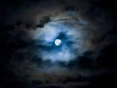 [레뷰스타] 안개의 내음