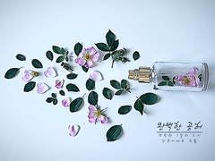 완벽한 공허 - 2.5