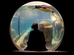 2019. 10. 11 2/50 [어항]