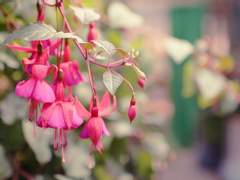 [준열] 판타지(?) 썰