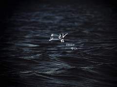 [유현유진] 요람