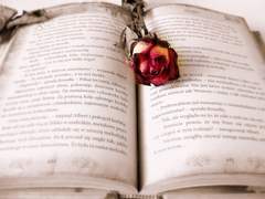 [알베케일] 단문썰 정리