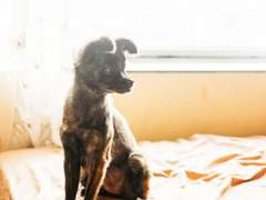 #유진유현_전력60분