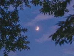 고백(Go Back) 부부