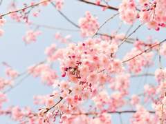 [혁켄] 혁이랑_재환이랑_6