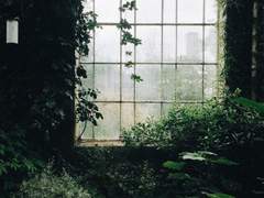 요약 자캐리스트