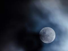 [긴히지] 가인박명