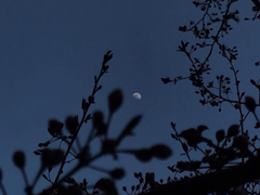 [아카야치] Illusion