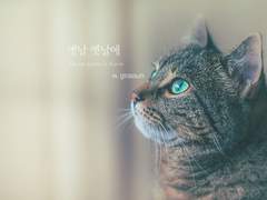 랩뷔/랩비/RV_옛날 옛날에 2