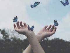 [석순] Papillon - 上