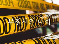 무질서의 미학8