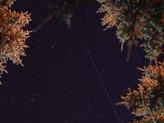 2019. 10. 14 3/100 [내일 지구가 멸망한다면]