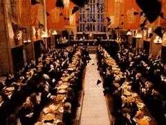 나는 천하의 멍텅구리임을 엄숙하게 선언합니다.