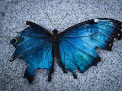 2019. 10. 15 4/50 [부러진 날개]