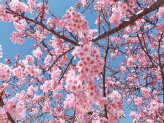 [윤홍] 재능 그리고 노력